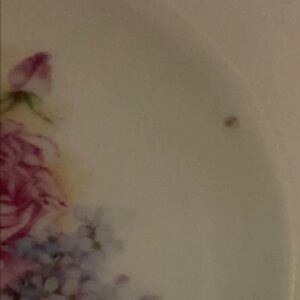 Porcelain Floral Serving Bowl in White with Pink Roses